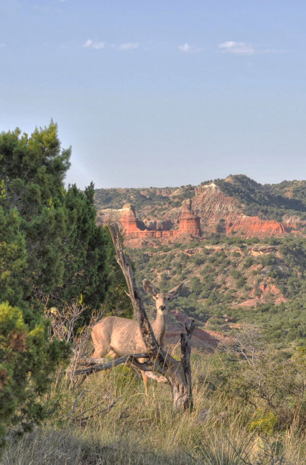 Photos of Palo Duro Canyon State Park